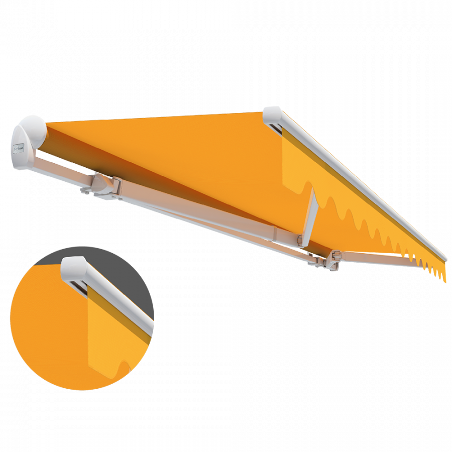 Lewens-Markise-Model-Economy
